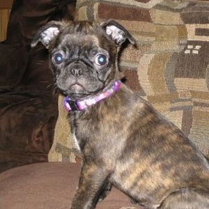 Meet your Posher, Darla